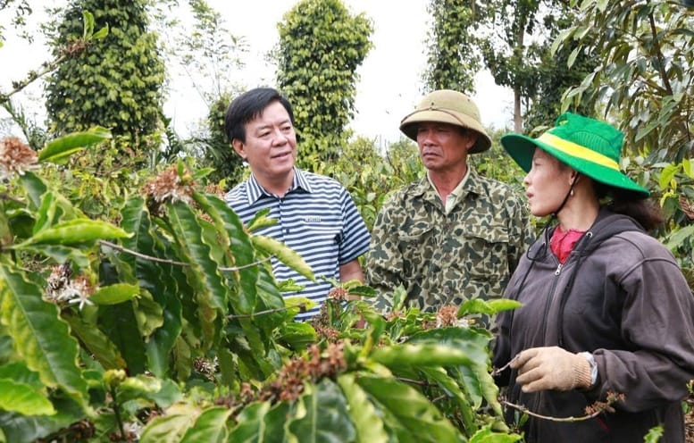 Bình Điền: Hành trình hơn nửa thế kỷ phụng sự nông dân và tầm nhìn tiên phong xanh hóa - số hóa- Ảnh 2. Bình Điền: Hành trình hơn nửa thế kỷ phụng sự nông dân và tầm nhìn tiên phong xanh hóa - số hóa- Ảnh 2.